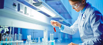 开云官方网页版